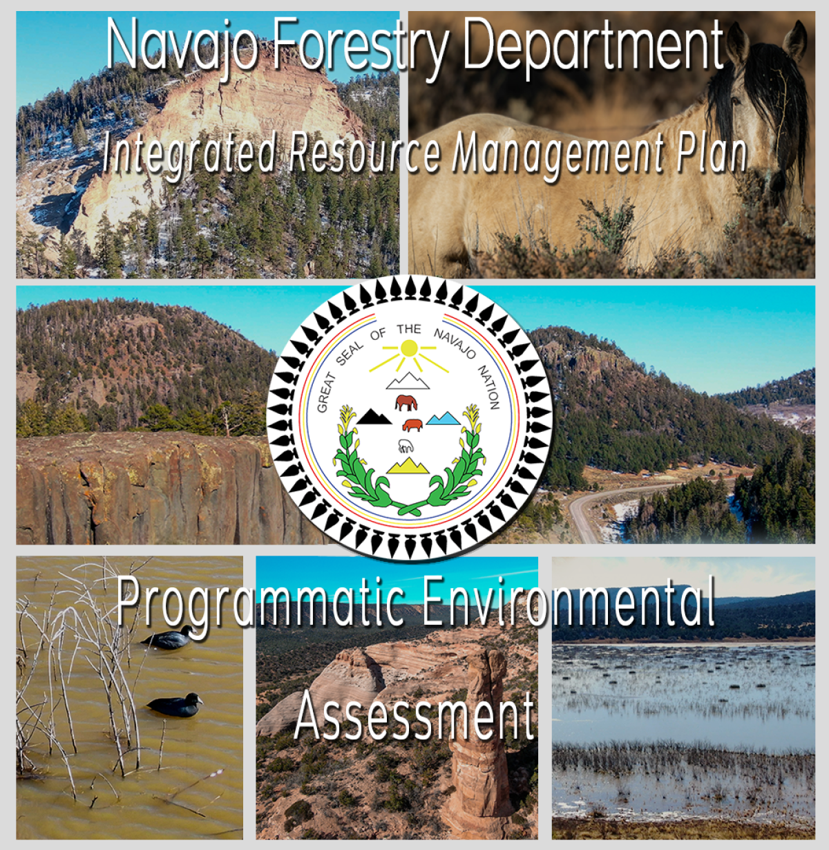 Navajo Forestry Department Integrated Resource Management Plan Programmatic Environmental Assessment